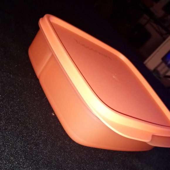 **BRAND NEW** TUPPERWARES DIVIDED LUNCH CONTAINER - Picture 7 of 8